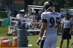 IDP Week 9 - Waiver Pickups - Jarret Johnson